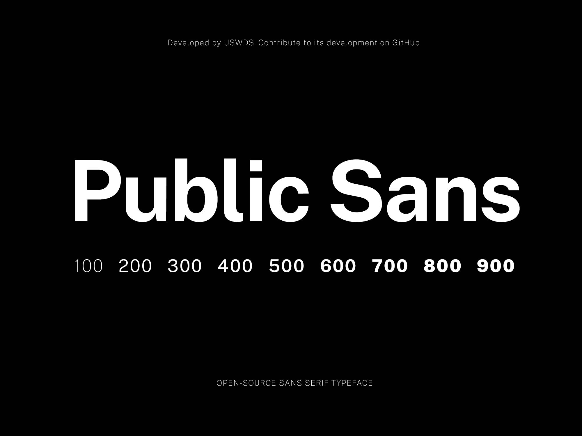 Public Sans