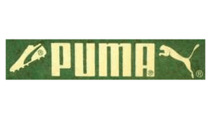 The Experimental Badge (1974 – 1976)