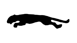 The Minimalist Cat (1968 – 1970)